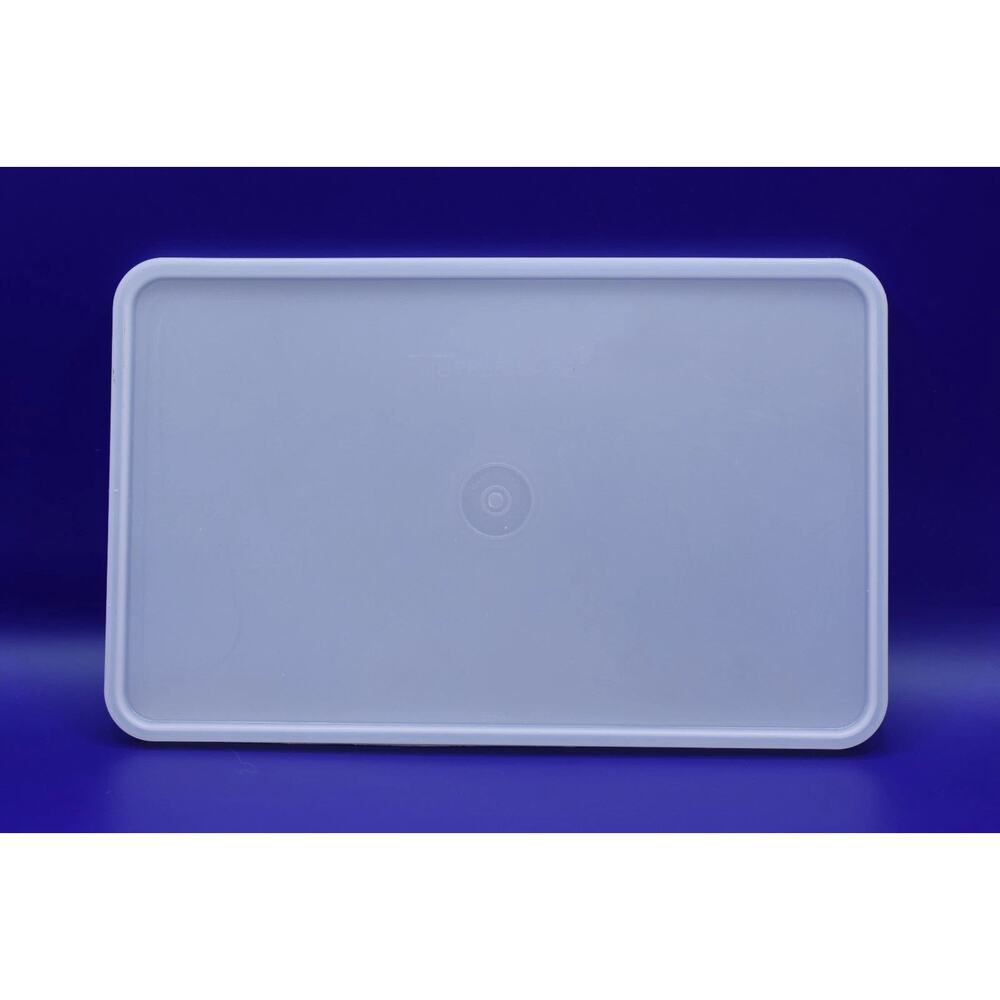 Tupperware 1293 Rectangle Replacement Lid for Meat Keeper Container Sheer Clear